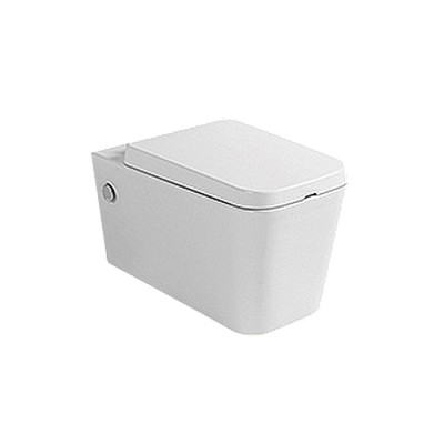 Chinese FANNISI best sales Modern round square washdown rimless P-trap wall mounted toilet for home bathroom toilets