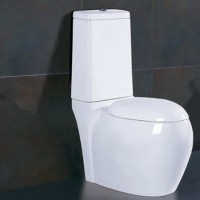 Foshan factory price cheap bathroom new design wc toilet