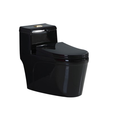 Fannisi design best sale Style noble Never fade ceramics sanitary wares black Colour  toilets