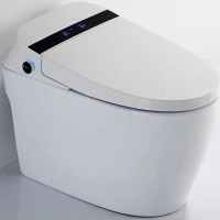 Home decoration bathroom one piece smart wc intelligent toilet