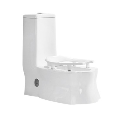 Hot sales Squat Down And Sit Down Floor Mount Siphon Flushing White Ceramic One Piece Toilet